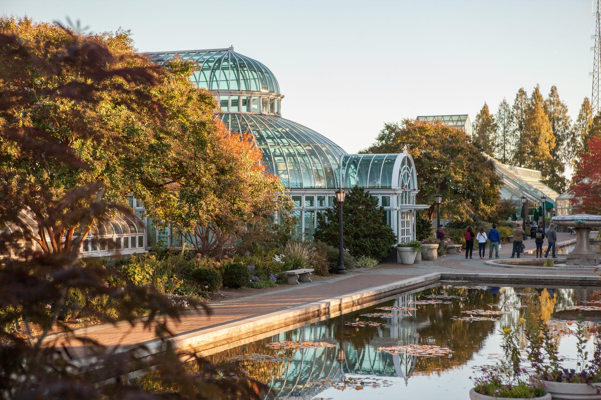 Brooklyn Botanic Garden, in Brooklyn