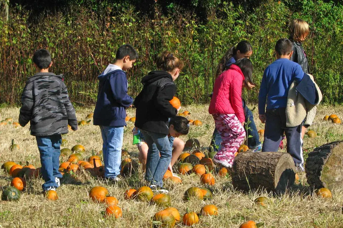 Children pumpkin picking at decker park in staten island